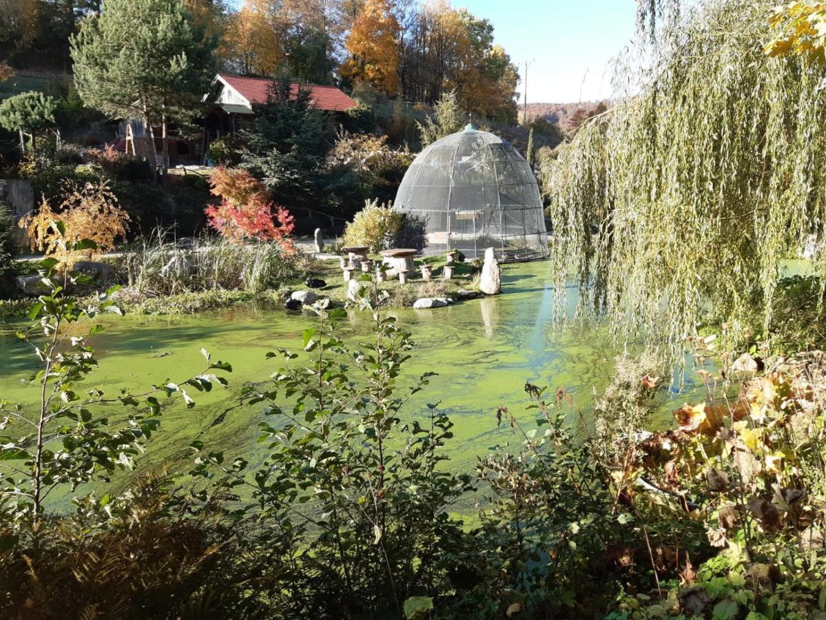 Cicha Woda Pieszyce Exterior foto