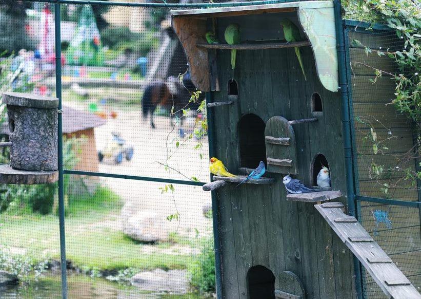 Cicha Woda Pieszyce Exterior foto